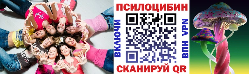 Купить  Семилуки  Псилоцибиновые грибы прущие грибы 