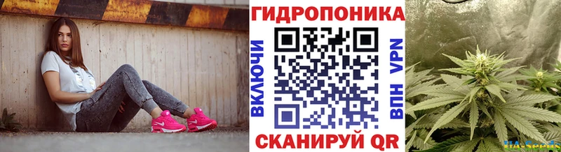 Купить закладки  Семилуки  Конопля MAZAR 